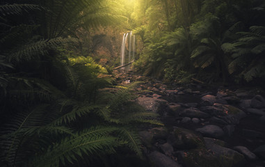 Australian landscape scene with waterfall and forest