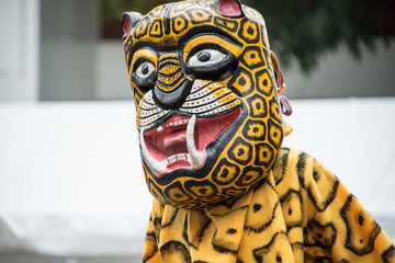 tigre mexicano 