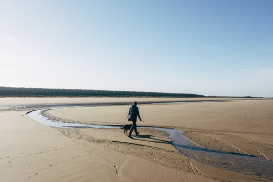 Male walking his dog on a vast empty beach. Holkham, Norfolk, UK