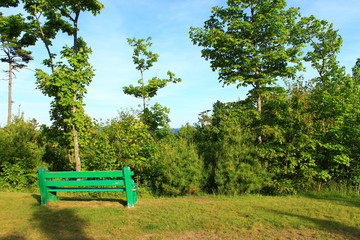 Chair and trees - Walking Tours in Canada