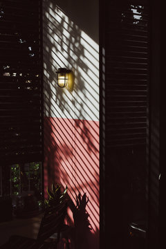 Brass Lamp on Wall with Blinds