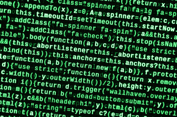 Javascript functions, variables, objects. Monitor closeup of function source code. IT specialist...