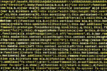 Javascript functions, variables, objects. Monitor closeup of function source code. IT specialist...