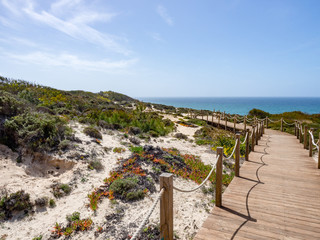 Fototapeta na wymiar Boardwalk leading to beach, Zambujeira do Mar, Odemira, Alentejo, Vicentine coast of Portugal