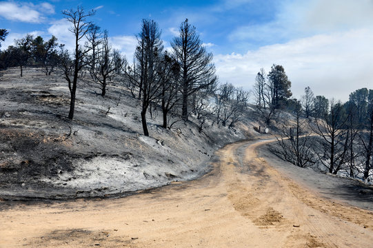 After The Fire