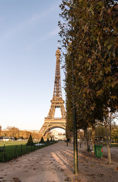 Park And Eiffel Tower