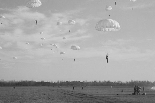 Military paratroopers in the sky