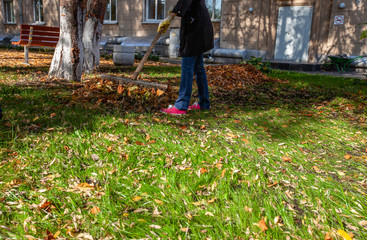 Cleaning of the territory from leaves in autumn. people with brooms, rakes and bags