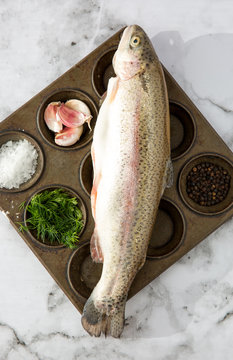 Uncooked Rainbow Trout with seasonings.