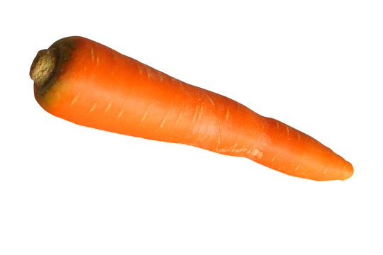Carrot isolated on the white background. clipping path.
