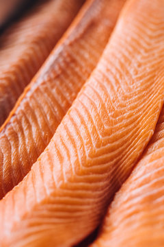 Fresh salmon