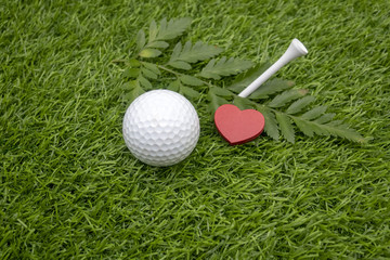 Golf with pink carnation on green 