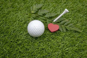 Golf with pink carnation on green 