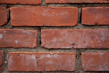 Brick Texture