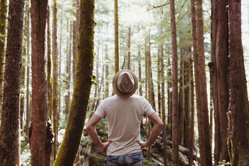 Man standing in a tall tree forest