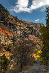 orange autumn leaves on rocky mountain hillside
