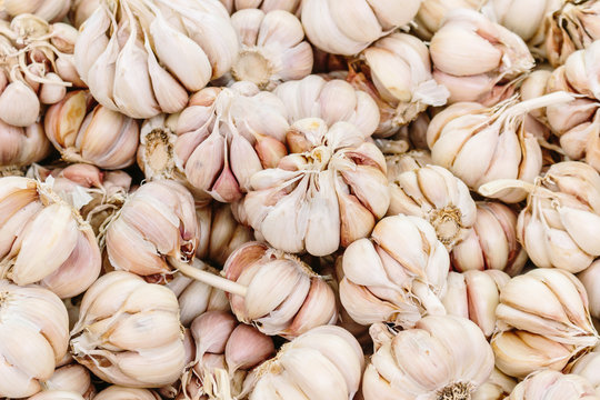 Garlic heads at a farmers' market in Madeira