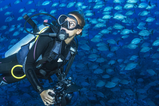 Scuba among Fishes