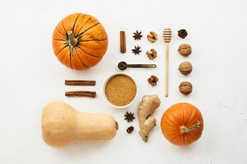 Flat lay with various pumpkins, cinnamon stick and  cane sugar knolled together on white cement...