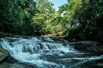 Fototapeta premium waterfall in forest