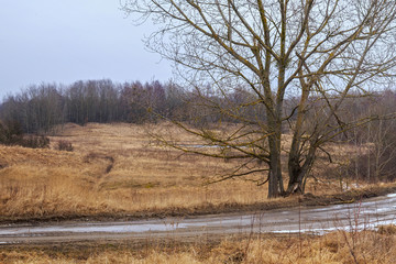 Rural road with remains of snow through the countryside in early spring.