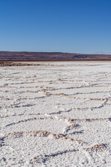 lagunas de baltinache - salt in the middle of the atacama desert