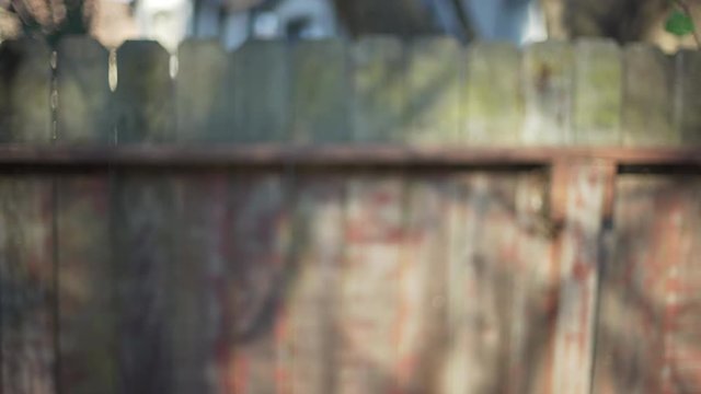 Out of focus background of old wooden fence in backyard