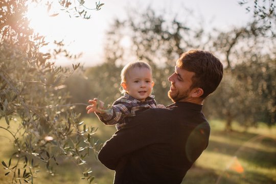 Father holding his son on arms in sunset olive garden