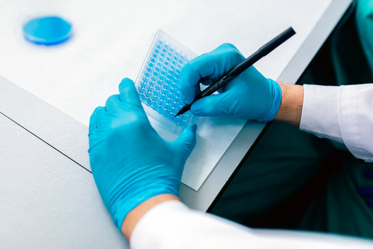 Biologist writing in a test plate