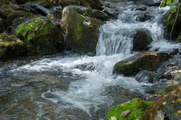 Autumn colours of river in Vitosha
