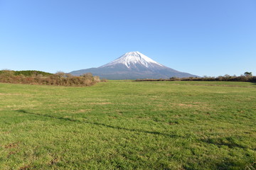 富士山