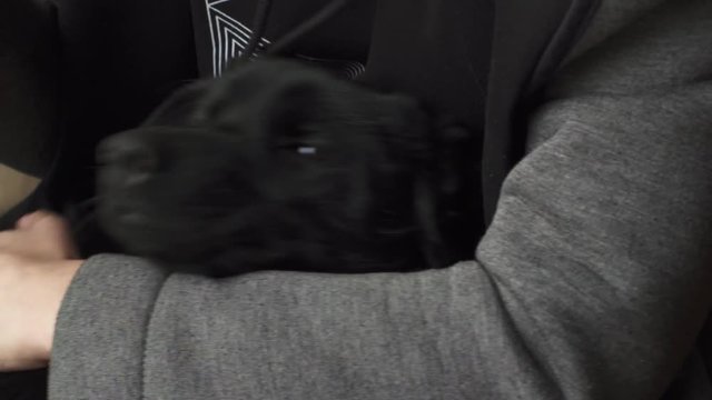 Sleepy cute dod