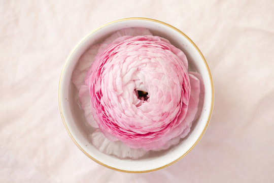 horizontal image of a pink ranunculus in a bowl on whisper pink fabric