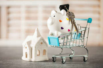 Piggy bank  and shopping cart