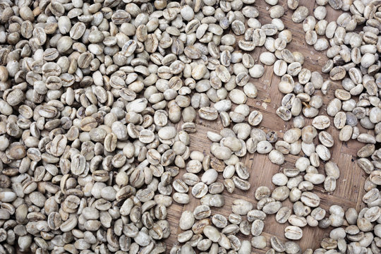 Copi Luwak coffee seeds seen from above