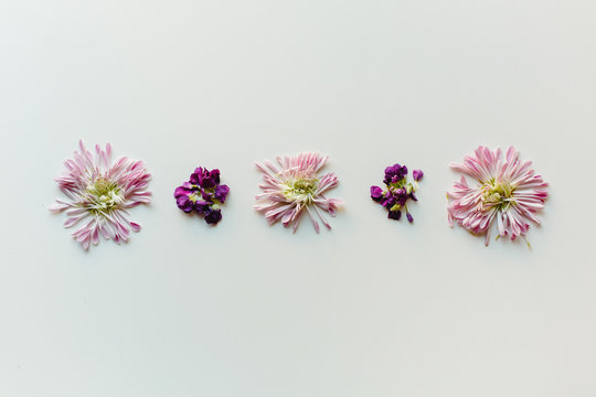 Deconstructed purple and pink flowers