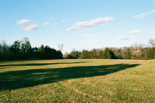 grass shadow