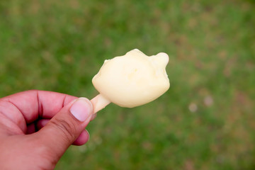 Durian ice cream bar or pop stick on hand