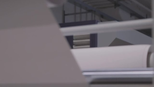 Female worker training. Professional  printing facility, big vinyl rolls, ready for large printer supply. Glossy, matte, materials, mostly used for commercial billboards, and urban advertising.