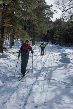 Cross country skiiing in the Cairngorm Mountains of Scotland