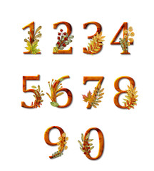 Wood Texture Numeric Digits Decorated with Autumn Leaves and Twigs. Numbers 1, 2, 3, 4, 5, 6,  7, 8, 9, 0 Isolated on White Background.