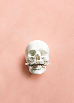 Bro Skull