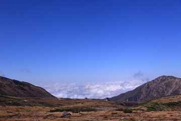 高地から見えた雲海