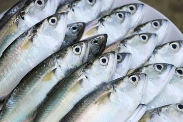 Fototapeta premium Raw and fresh fish,