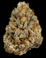 Berries and Creme #1 dried cannabis flower isolated against black background