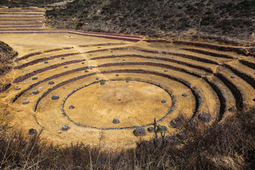 Fototapeta na wymiar Circular terraces of Moray