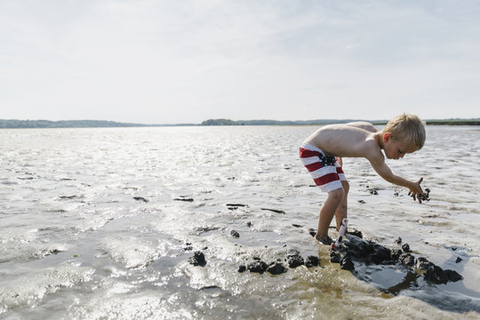 Treasure Hunt in the Mud Flats