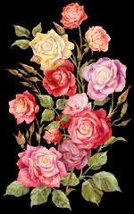 Bouquet of colorful roses isolated on black