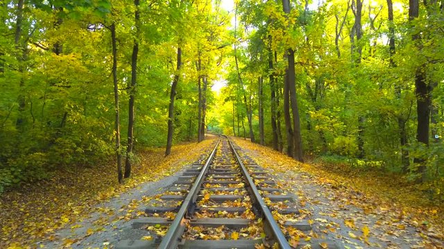 Rail road way in empty autumn forest