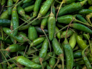 Green Pepper closeup